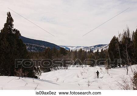 Cross country skiers, High Uinta Wilderness, Utah, USA View Large Photo Image Stock Photo - Cross country skiers, High Uinta Wilderness, Utah, USA. Fotosearch