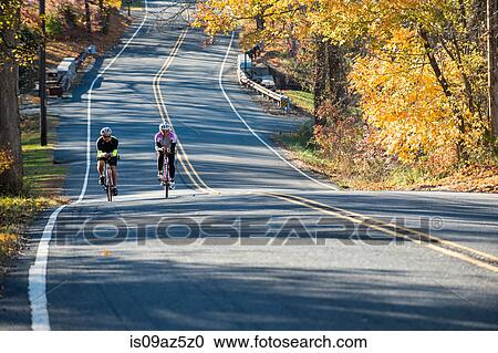 Cyclists cycling side by side on tree lined road View Large Photo Image Stock Image - Cyclists cycling side by side on tree lined road. Fotosearch