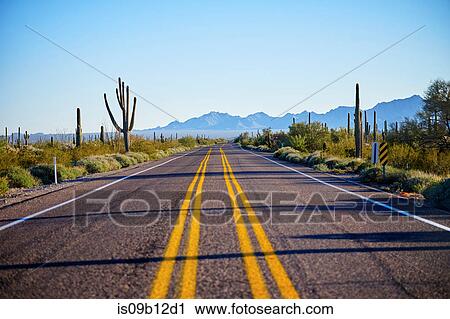 Desert highway, Organ Pipe Cactus National Monument, Arizona, USA View Large Photo Image Stock Image - Desert highway, Organ Pipe Cactus National Monument, Arizona, USA. Fotosearch