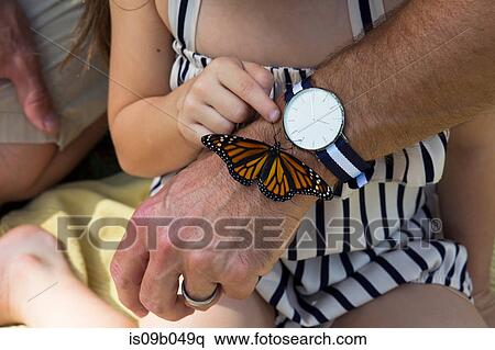 Father and daughter looking at monarch butterfly View Large Photo Image Stock Photography - Father and daughter looking at monarch butterfly. Fotosearch