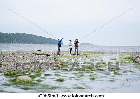 Father and sons taking photographs on beach, Pacific Rim National Park, Vancouver Island, Canada View Large Photo Image Stock Image - Father and sons taking photographs on beach, Pacific Rim National Park, Vancouver Island, Canada. Fotosearch
