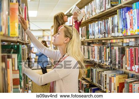 Female customers searching for books in library View Large Photo Image Stock Image - Female customers searching for books in library. Fotosearch