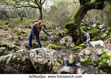 Female hiker and her dog crossing woodland stream, Spain View Large Photo Image Stock Photograph - Female hiker and her dog crossing woodland stream, Spain. Fotosearch