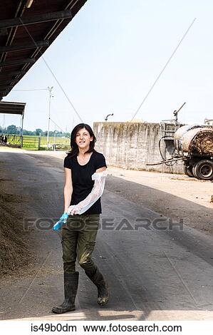 Female organic farmer putting on protective glove at dairy farm View Large Photo Image Picture - Female organic farmer putting on protective glove at dairy farm. Fotosearch
