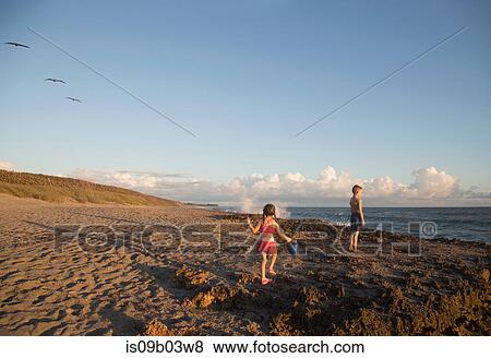 Stock Photo - Girl and brother playing on beach, Blowing Rocks Preserve, Jupiter Island, Florida, USA. Fotosearch