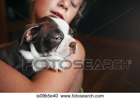 Girl hugging Boston Terrier puppy View Large Photo Image Stock Image - Girl hugging Boston Terrier puppy. Fotosearch