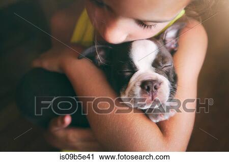 Girl hugging Boston Terrier puppy View Large Photo Image Stock Image - Girl hugging Boston Terrier puppy. Fotosearch