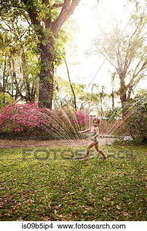 Picture - Girl in bathing costume playing in garden sprinkler water. Fotosearch