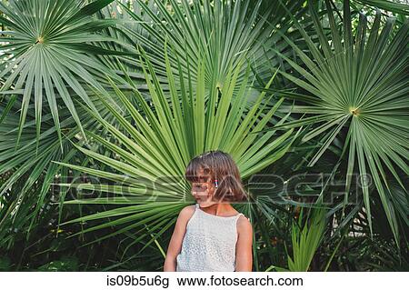 Girl in front of fan palm tree View Large Photo Image Stock Image - Girl in front of fan palm tree. Fotosearch