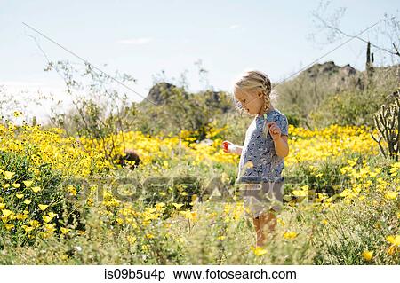 Girl in wildflowers meadow looking at flowers, Wadell, Arizona, USA View Large Photo Image Stock Photography - Girl in wildflowers meadow looking at flowers, Wadell, Arizona, USA. Fotosearch