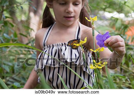 Girl looking at monarch butterfly on flower View Large Photo Image Stock Photo - Girl looking at monarch butterfly on flower. Fotosearch