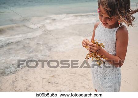 Girl playing with dry seaweed on beach, Cancun, Mexico View Large Photo Image Stock Photography - Girl playing with dry seaweed on beach, Cancun, Mexico. Fotosearch