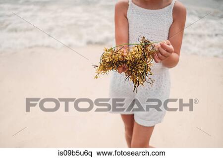 Stock Photography - Girl playing with dry seaweed on beach, Cancun, Mexico. Fotosearch