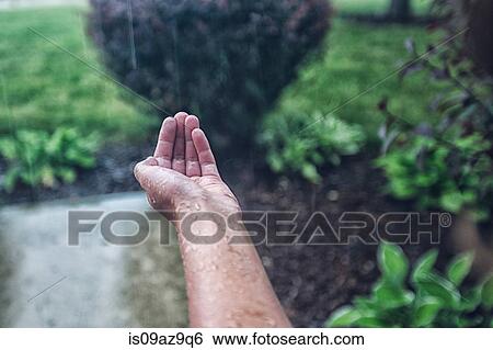 Girls cupped hand catching rain View Large Photo Image Stock Photograph - Girls cupped hand catching rain. Fotosearch