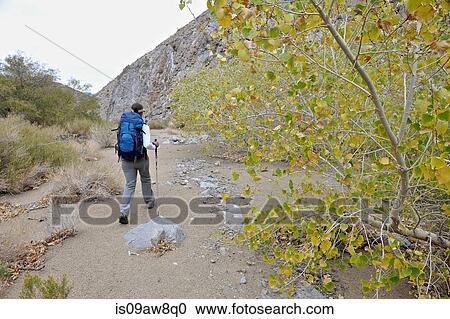 Hiker exploring desert, Cottonwood Canyon, Death Valley National Park, California View Large Photo Image Stock Image - Hiker exploring desert, Cottonwood Canyon, Death Valley National Park, California. Fotosearch