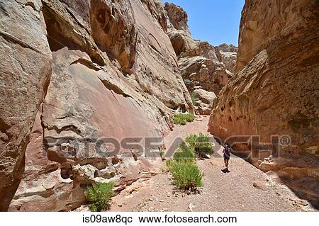 Stock Image - Hiker exploring Little Wild Horse and Bell Canyon Loop, Goblin Valley State Park, San Rafael Swell, Utah. Fotosearch