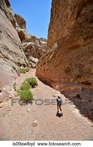 Hiker exploring Little Wild Horse and Bell Canyon Loop, Goblin Valley State Park, San Rafael Swell, Utah View Large Photo Image Stock Image - Hiker exploring Little Wild Horse and Bell Canyon Loop, Goblin Valley State Park, San Rafael Swell, Utah. Fotosearch