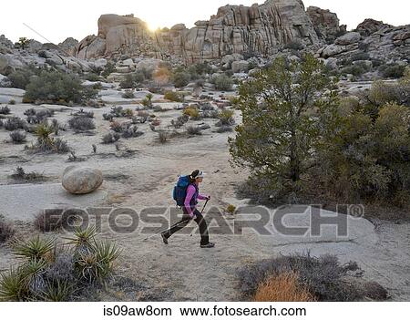 Picture - Hiker exploring Mojave Desert, Joshua Tree National Park, California. Fotosearch