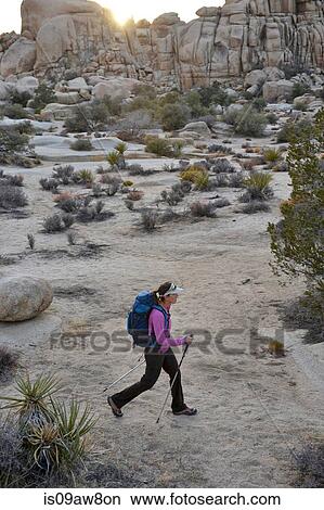 Hiker exploring Mojave Desert, Joshua Tree National Park, California View Large Photo Image Picture - Hiker exploring Mojave Desert, Joshua Tree National Park, California. Fotosearch