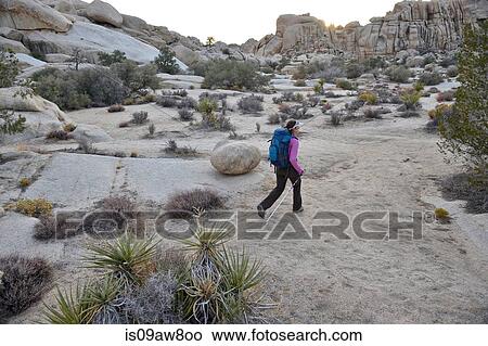 Hiker exploring Mojave Desert, Joshua Tree National Park, California View Large Photo Image Picture - Hiker exploring Mojave Desert, Joshua Tree National Park, California. Fotosearch