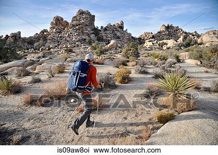Hiker exploring Mojave Desert, Joshua Tree National Park, California View Large Photo Image Stock Image - Hiker exploring Mojave Desert, Joshua Tree National Park, California. Fotosearch