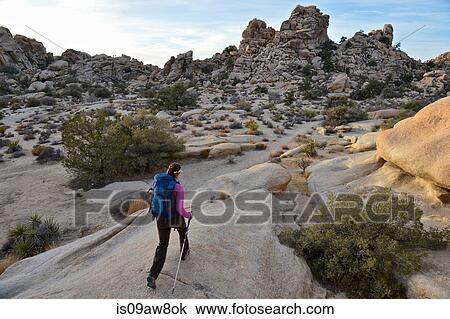 Hiker exploring Mojave Desert, Joshua Tree National Park, California View Large Photo Image Stock Image - Hiker exploring Mojave Desert, Joshua Tree National Park, California. Fotosearch