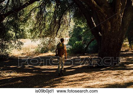 Hiker in shadow of tree, Malibu Canyon, California, USA View Large Photo Image Stock Image - Hiker in shadow of tree, Malibu Canyon, California, USA. Fotosearch