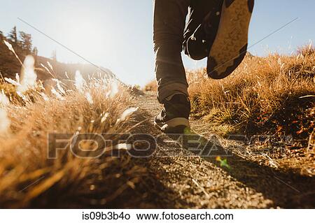 Picture - Legs of male hiker hiking on dirt track, Mineral King, Sequoia National Park, California, USA. Fotosearch