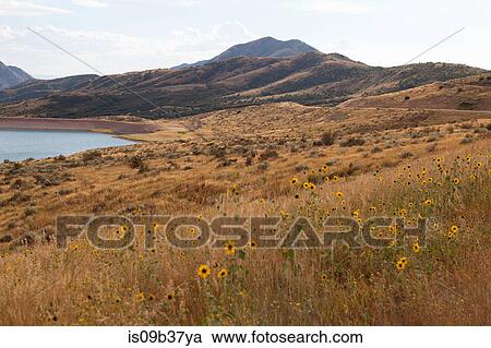 Little Dell Reservoir, Salt Lake City, Utah, USA View Large Photo Image Stock Image - Little Dell Reservoir, Salt Lake City, Utah, USA. Fotosearch