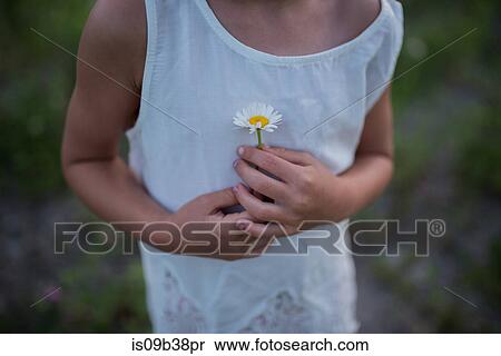 Little girl holding flower against chest View Large Photo Image Stock Photography - Little girl holding flower against chest. Fotosearch