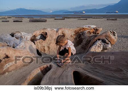 Little girl playing on wood sculpture on beach, Vancouver, British Columbia, Canada View Large Photo Image Stock Image - Little girl playing on wood sculpture on beach, Vancouver, British Columbia, Canada. Fotosearch