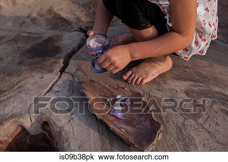 Little girl playing with seashells on wood sculpture View Large Photo Image Stock Image - Little girl playing with seashells on wood sculpture. Fotosearch