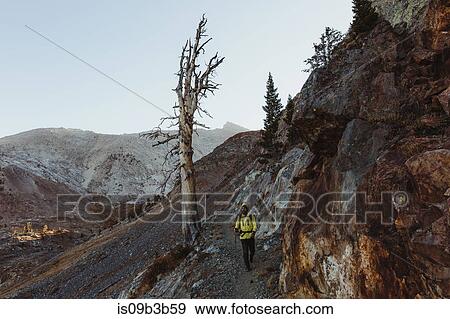 Male hiker hiking along mountainside, Mineral King, Sequoia National Park, California, USA View Large Photo Image Stock Photo - Male hiker hiking along mountainside, Mineral King, Sequoia National Park, California, USA. Fotosearch