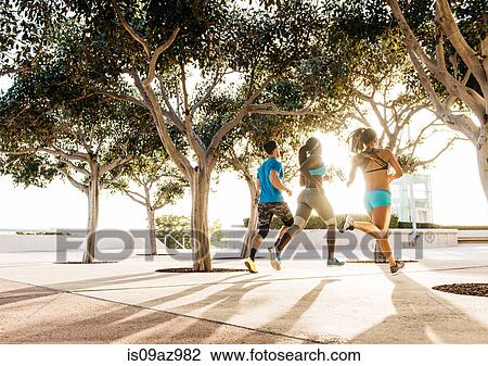 Man and two young women training, running along coast, downtown San Diego, California, USA View Large Photo Image Stock Image - Man and two young women training, running along coast, downtown San Diego, California, USA. Fotosearch