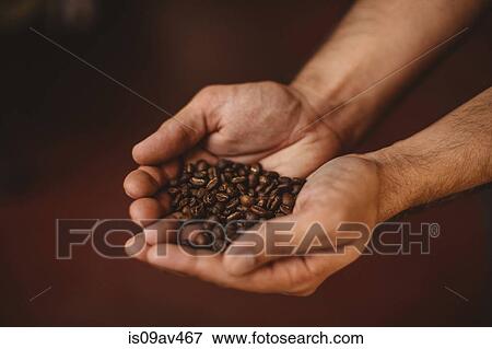 Stock Photo - Man holding coffee beans, close-up. Fotosearch