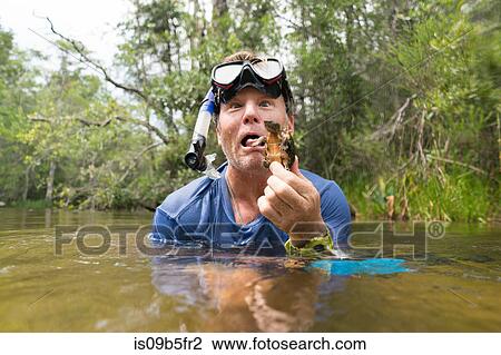 Man in water holding mud turtle, pulling face, Turkey Creek, Niceville, Florida, USA View Large Photo Image Stock Image - Man in water holding mud turtle, pulling face, Turkey Creek, Niceville, Florida, USA. Fotosearch
