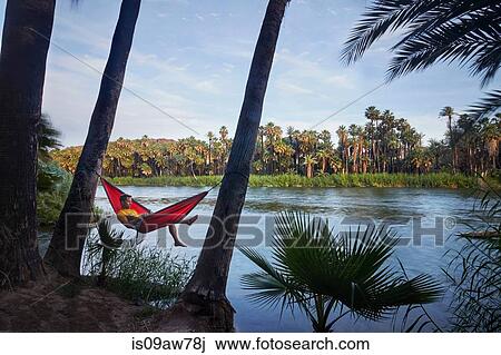 Man relaxing in hammock by lake, Baja California, Mexico View Large Photo Image Stock Image - Man relaxing in hammock by lake, Baja California, Mexico. Fotosearch