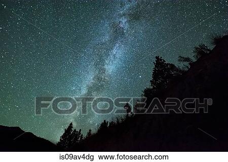 Man silhouetted against night sky and milky way in mountain forest, Penticton, British Columbia, Canada View Large Photo Image Stock Image - Man silhouetted against night sky and milky way in mountain forest, Penticton, British Columbia, Canada. Fotosearch