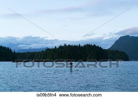 Picture - Man standing on paddle board on water, Pacific Rim National Park, Vancouver Island, Canada. Fotosearch