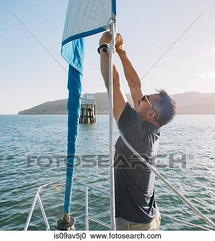 Stock Image - Man tying up mainsail on sailboat, San Diego Bay, California, USA. Fotosearch