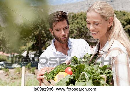 Mature couple holding crate of fresh vegetables in garden View Large Photo Image Stock Photograph - Mature couple holding crate of fresh vegetables in garden. Fotosearch