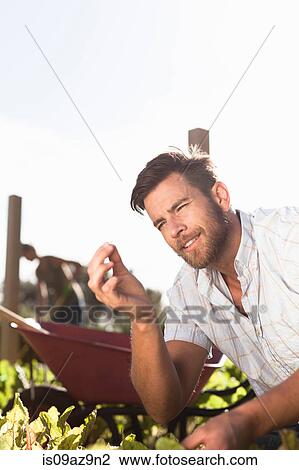 Mature man inspecting tiny seedling in garden View Large Photo Image Stock Image - Mature man inspecting tiny seedling in garden. Fotosearch