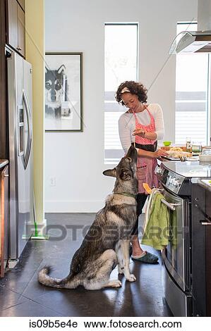 Mature woman cooking in kitchen, feeding her pet dog pasta noodle View Large Photo Image Stock Image - Mature woman cooking in kitchen, feeding her pet dog pasta noodle. Fotosearch