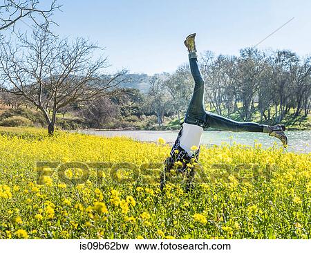Mature woman doing cartwheel in field of wild flowers, Paso Robles, California, USA View Large Photo Image Stock Photo - Mature woman doing cartwheel in field of wild flowers, Paso Robles, California, USA. Fotosearch