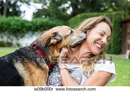 Mature woman in park with dog, dog licking woman's face View Large Photo Image Stock Photography - Mature woman in park with dog, dog licking woman's face. Fotosearch