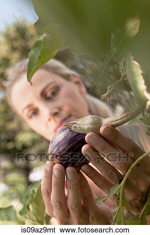 Stock Photograph - Mature woman inspecting vegetables growing in garden, close-up. Fotosearch