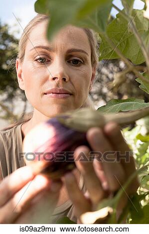 Stock Photograph - Mature woman inspecting vegetables growing in garden, close-up. Fotosearch