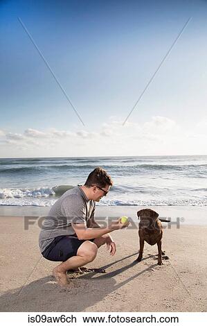 Mid adult man and dog on beach, man holding ball out to dog View Large Photo Image Stock Image - Mid adult man and dog on beach, man holding ball out to dog. Fotosearch