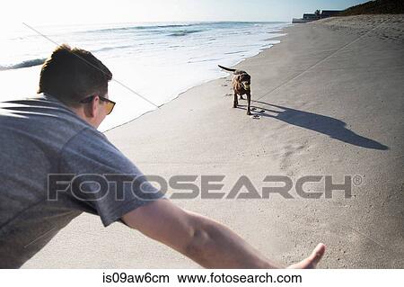 Mid adult man and dog, playing together on beach View Large Photo Image Picture - Mid adult man and dog, playing together on beach. Fotosearch