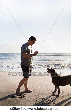Mid adult man and dog, playing together on beach View Large Photo Image Stock Image - Mid adult man and dog, playing together on beach. Fotosearch